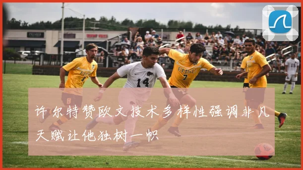 许尔特赞欧文技术多样性强调非凡天赋让他独树一帜